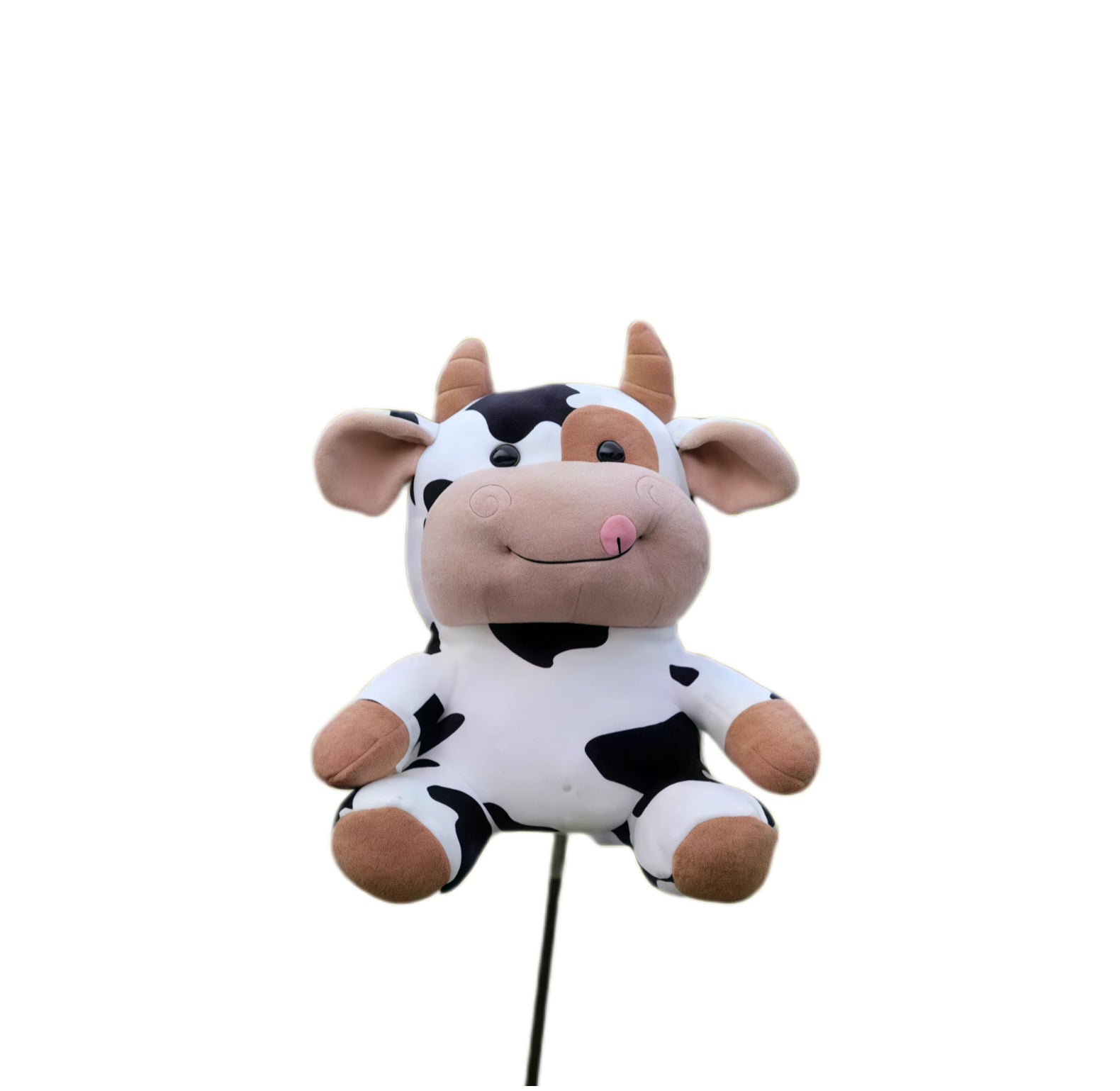 Front view of cow plush golf headcover, black-spotted body with tan horns, pink tongue and embroidered swirl cheeks